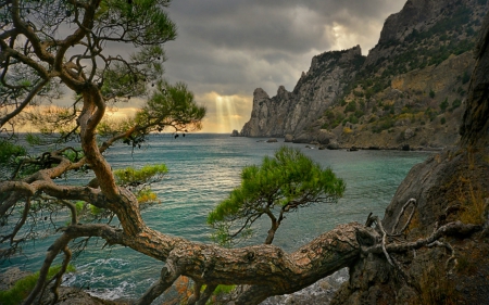 Beautiful scenery - nature, ocean, tree, mountain