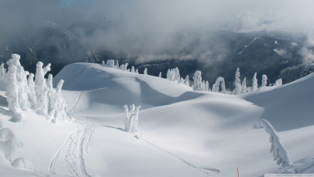 Snow drifts - pine, winter, landscap, wallpaper, mountains, nature, hd, forest, cold, snow, scene