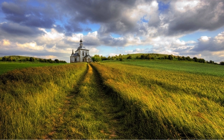 Green field - field, sky, house, nature