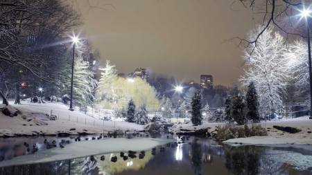 duck pond in a wintry central park nyc - winter, pond, city, night, ducks, park