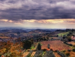 lovely vineyard covered hills hdr