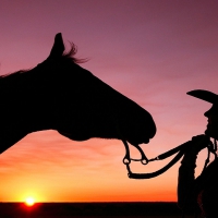 Cowgirls First Love