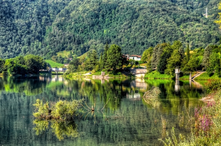 *** Lake *** - nature, lake, forest, trees