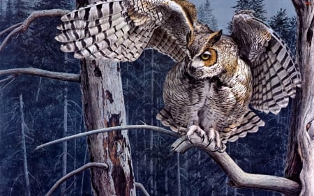 Snow Owl - nature, starting, forest, artwork, wings, raptor