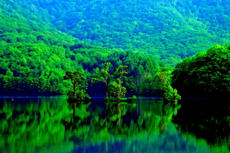 LAKE in REFLECTION - green, lake, forest, reflection