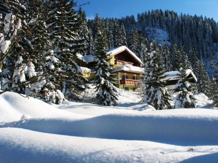 Cottage in Winter - trees, landscape, snow, shadows, sunshine, mountains