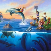 Dolphin Rides