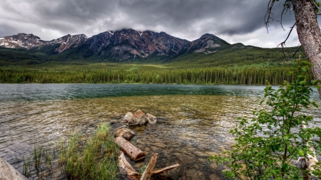 gorgeous nature lakescape hdr - logs, hdr, lake, forest, mountain, rocks