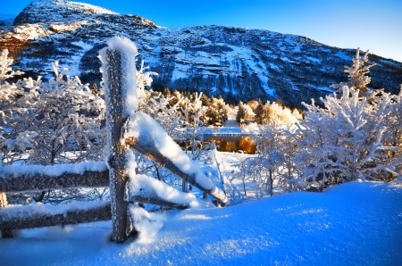 Winter - snowflake, beautiful, photography, tree, wonderful, nature, cold, winter, snowflakes, photo, sun, sky, lovely, splendor, ice, trees, snow