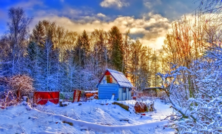 Winter - snowflake, beautiful, photography, tree, wonderful, nature, cold, winter, snowflakes, photo, sun, sky, lovely, splendor, ice, trees, snow