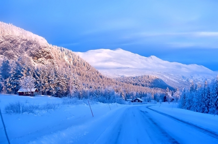 Winter - snowflakes, splendor, snow, photo, sky, sun, trees, winter, beautiful, photography, lovely, tree, wonderful, ice, nature, snowflake, cold