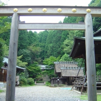 Torii Gate