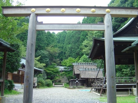 Torii Gate - torii, japan, gate, shrine, japanese, oriental, temple