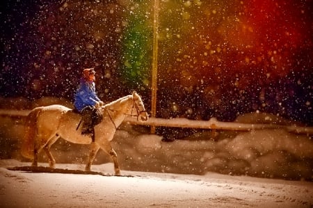 Winter - horse, animals, winter, animal, night