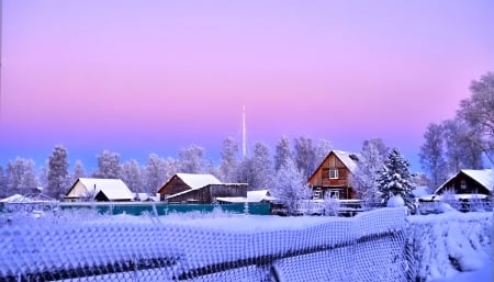 Winter - snowflake, beautiful, photography, tree, wonderful, nature, cold, winter, snowflakes, photo, sun, sky, lovely, splendor, ice, trees, snow