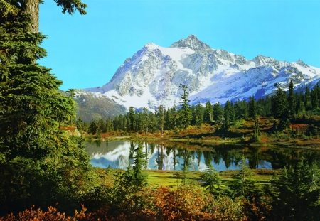 Wonderful Mountain - sky, mountain, trees, landscape, nature, white, forest, reflection, snow, blue, green, grass