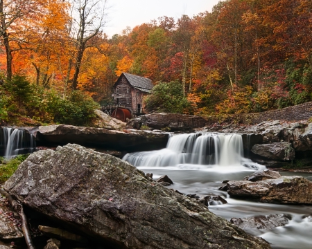 *** Autumn *** - nature, fall, autumn, forest