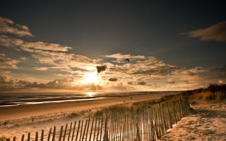 A New Day - summer, summer time, beach, sun, ocean, sand, sky, morning, clouds, view, splendor, sea, nature, sunrise