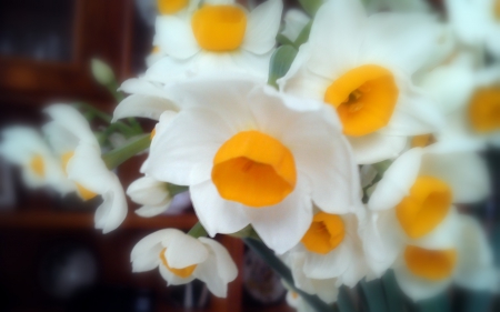 Spring will come again - flowers, fresh, white, yellow, narcissus, spring, bouquet