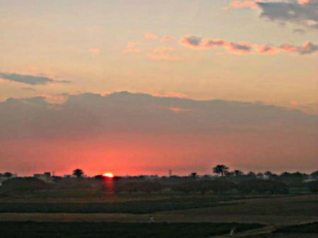 sunset - sunset, farm, greenry, sun, sky