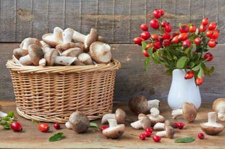 Still life - mushroom, photography, food, photo, still life