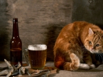 Cats don't like beer