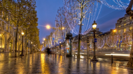 holiday lit paris sidewalk hdr - trees, sidewalk, rain, city, cobblestonesw, hdr, lights