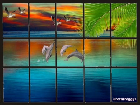 EVENING SUNSET OVER WATER - dolphins, sunset, window, birds