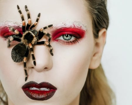 Artistic woman - face, makeup, model, spider