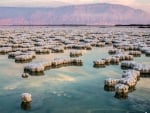 The Dead Sea