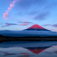 Fuji