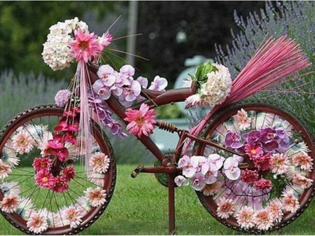 spring bicycle - artistic, flowers, photography, spring, bicycle