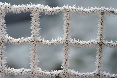 Icy see through - abstract, winter, frosted, photography, snow, frosty, HD, fence, ice, frozen, macro, cold, frost, wallpaper