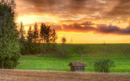 little hut at sunrise hdr - hill, fields, trees, hut, sunrise, hdr