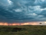 beautiful rain cloud over a savanna