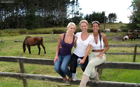 Cowgirls On A Fence - women, fun, female, fences, models, western, girls, cowgirls, outdoors, rodeo, horses, ranch, famous, country