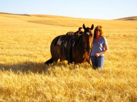 Cowgirl Harvest Time - fun, female, fields, hot, saddles, western, cowgirls, outdoors, horses, ranch, famous, country, sky