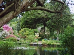 scottish garden one