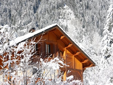 Winter - winter, house, forest, snow