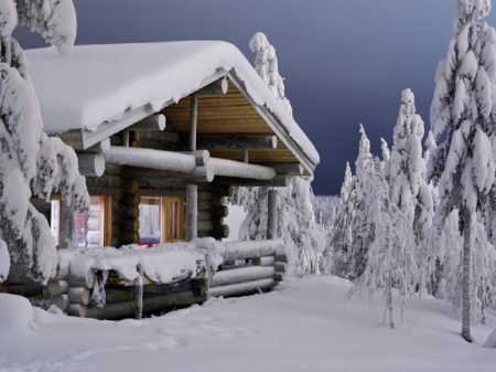 Winter - winter, house, trees, snow