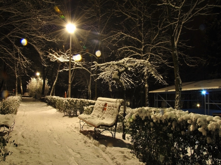 Winter - winter, night, snow, light