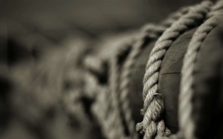 Rope - ropes, old rope, rope, old