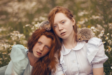 *** Redhead girls with hedgehogs *** - girls, hedgehogs, animals, people, redhead