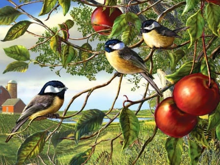 Chickadees and apples - branches, greenery, field, lovely, apples, painting, art, pretty, beautiful, leaves, house, tree, grass, birds, chickadee