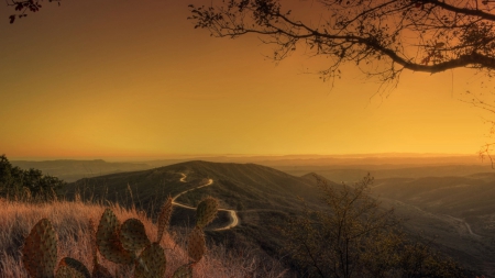 panoramic view at sunrise - panorama, road, sunrise, cactus, mountain, tree