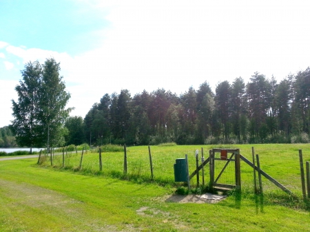 summer - green, summer, grass, pond