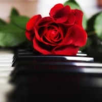 rose on piano