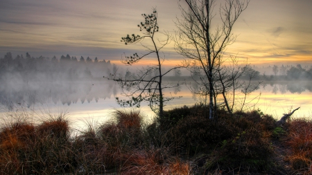 lake on an autumn foggy morning - morning, fog, lakce, shore, bushes