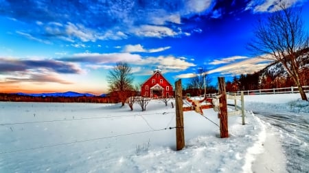 Winter - snowflakes, splendor, snow, photo, sky, sun, trees, winter, beautiful, photography, lovely, tree, wonderful, ice, nature, snowflake, cold