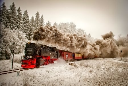 Winter - snowflakes, splendor, snow, photo, sky, sun, trees, winter, beautiful, photography, lovely, tree, wonderful, ice, nature, snowflake, cold